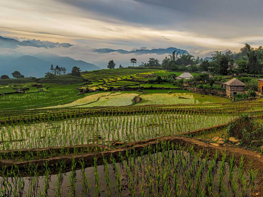 Wiederherstellung des Bodens