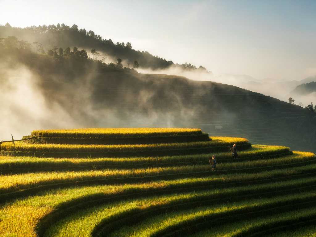 Wiederherstellung des Bodens